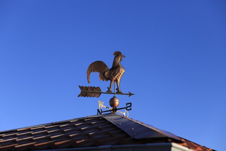 weathercock, direction, roof, wind direction indicator